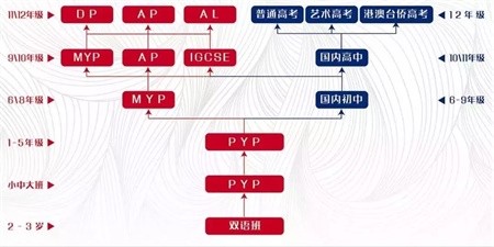 碧桂園學校課程設置