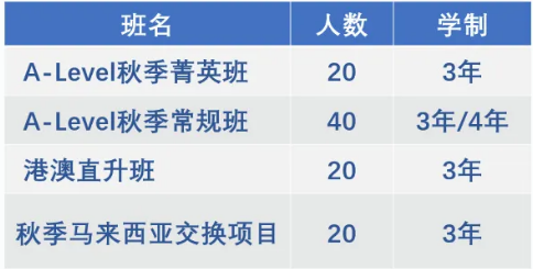 招生班型及計劃